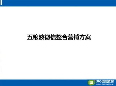 泸州老窖微信整合营销方案(最终版)_word文档在线阅读与下载_无忧文档