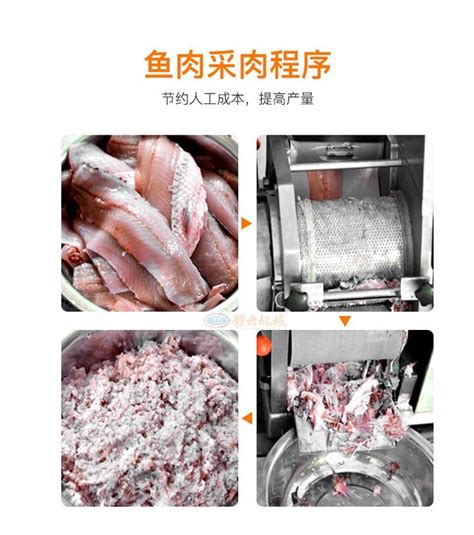 鱼刺剔除机-产品中心-上海沃迪智能装备股份有限公司
