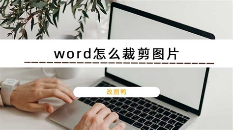 wORD如何批量裁剪多张图片 - 软件无忧