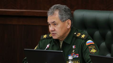 俄国防部长报告普京：该部门已经开始与法国军队展开合作 - 2015年11月20日, 俄罗斯卫星通讯社