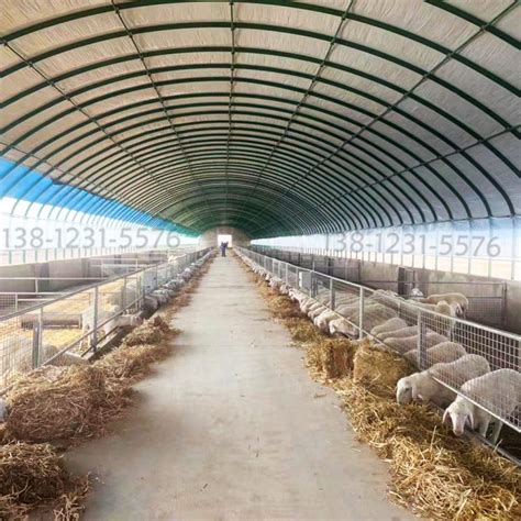 平南县肉牛养殖场-农产品价格