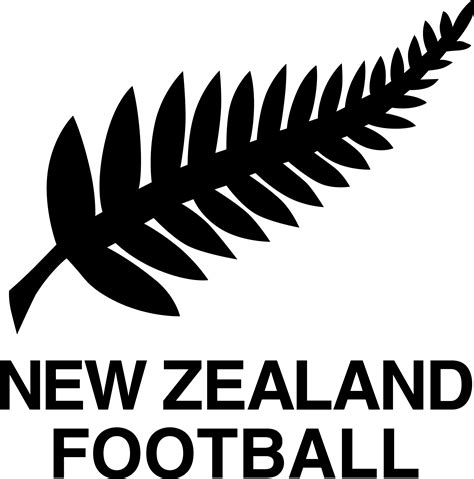 新西兰国家男子足球队图册_360百科