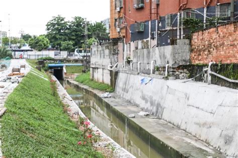 宝安水经注 | 天圳河、石龙仔河、龙眼山水：清泉石上流，在美丽石岩有你我的诗和远方_深圳新闻网