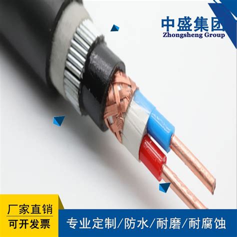 《塑料绝缘控制电缆》KVVP2-22铠装电缆价格_铠装控制电缆-天津市电缆总厂橡塑电缆厂