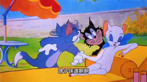 第3集猫和老鼠搞笑配音_腾讯视频