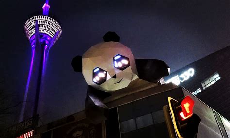 澳门回归15周年焰火完美绽放！熊猫烟花呈现世界级视觉盛宴！