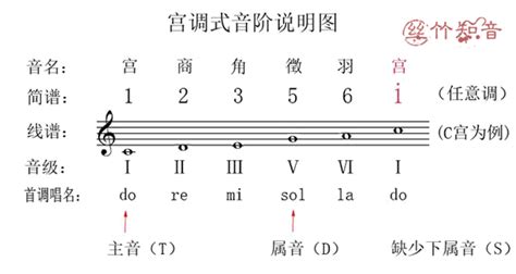 中国的传统音乐理论是啥？ - 知乎