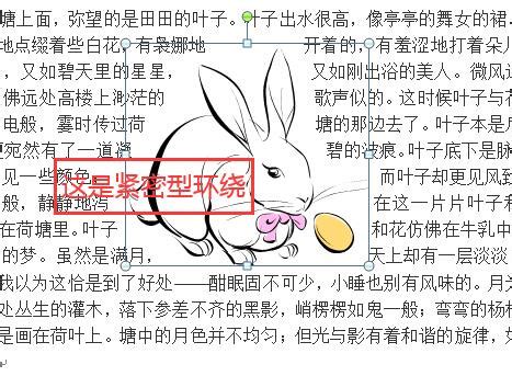 图文混排图片