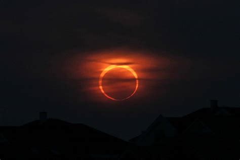 回顾：2019年最后一次日食照片图集，全球多地观测到“火环”日食
