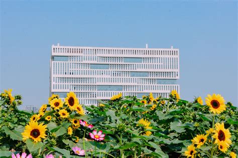 校园风景 | 武汉理工大学