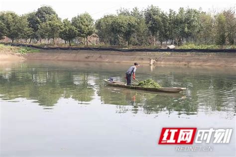 大通湖生态公园景点信息-排行榜123网
