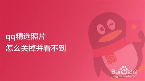 QQ精选照片套图图片