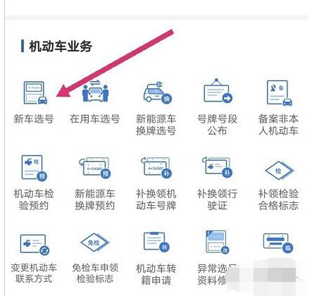 交管12123怎么选车牌号教程？-交管12123选车牌号教程的方法？_华军软件园
