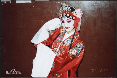 李梅可主演电视剧红槐花图片