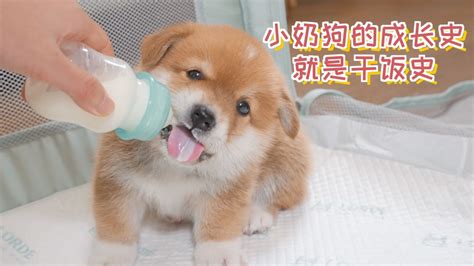 微博帅哥李宗霖的最新照片 阳光可爱的小奶狗(2)-网络帅哥图片-帅哥图库网