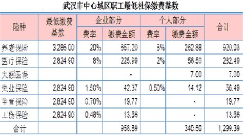 2015年武汉优质零售业存量将破470万平方米_湖北频道_凤凰网