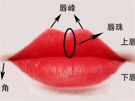 二十种嘴型图解图片