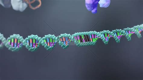 绚丽多彩DNA遗传基因图片免费下载_PNG素材_编号ve9iq3opj_图精灵