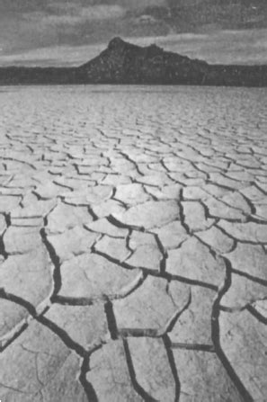 河南遭63年来最严重干旱 近万亩玉米绝收_财经_环球网