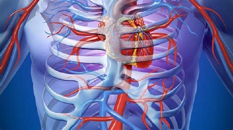 心跳过快是什么原因 出现这3种情况要提高警惕-心血管内科心律失常-复禾健康