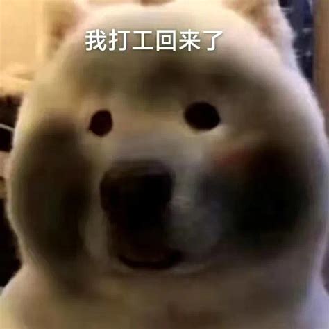 我回来了表情包图片