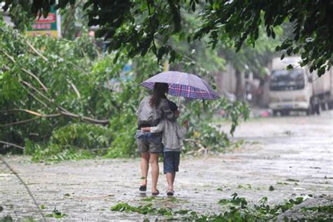 台风"纳沙"来了!街头大树被连根拔起_龙华网_百万龙华人的网上家园