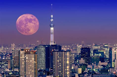 Download Hintergrund Turm, Beleuchtung, Japan, Tokyo Freie desktop ...