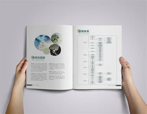 广州彩页设计公司教你如何做好宣传彩页设计-花生品牌设计