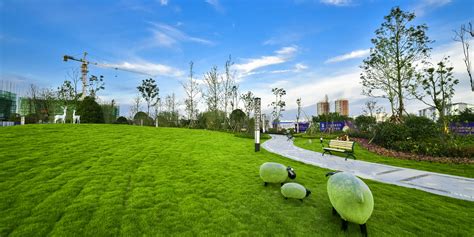 生态湿地 | 图片中心 | 苏州工业园区园林绿化工程有限公司