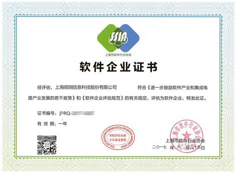 双软企业认定 - 上海唐标企业管理咨询有限公司