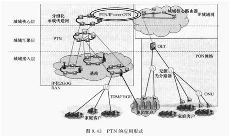 分组传输网(PTN)组网应用|其他|计算机