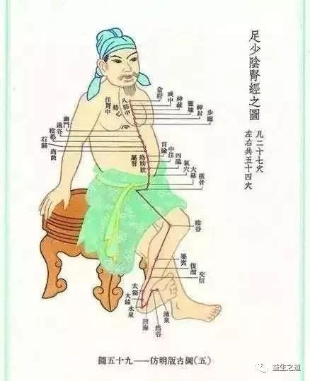 肾的经络位置图图片
