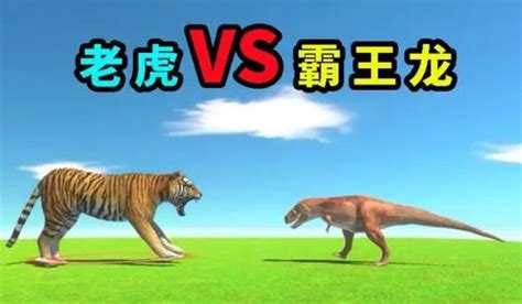 狮虎斗的结局是哪边赢？从老虎和狮子的牙齿长度就可以看出来