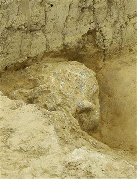 最新！金兰寺遗址出土古人类遗骸增至34具，多具属于小孩！多图→