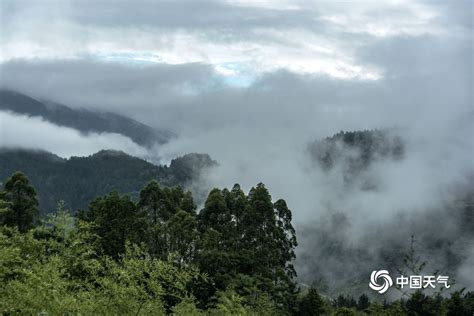 重庆雨后云雾缭绕如仙境-高清图集-中国天气网