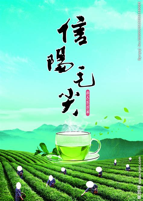信阳特产山茶油司马光牌茶油1000ml【价格 图片 正品 报价】-邮乐网