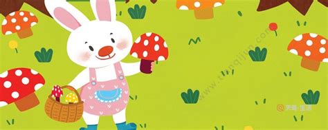 小白兔采蘑菇的故事 小白兔采蘑菇的故事是什么 - 天奇生活