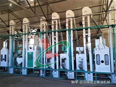 日产100吨玉米加工成套设备-曹县中星高新机械制造有限公司