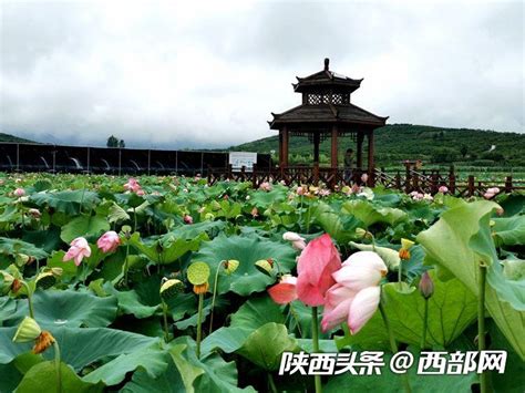 汉中市城固县十大著名旅游景点（城固县有哪些好玩的）_玉环网