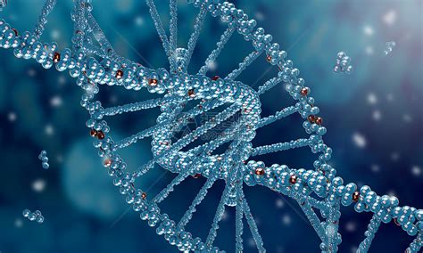 DNA有哪几种二级结构？DNA双螺旋结构是谁发现的？