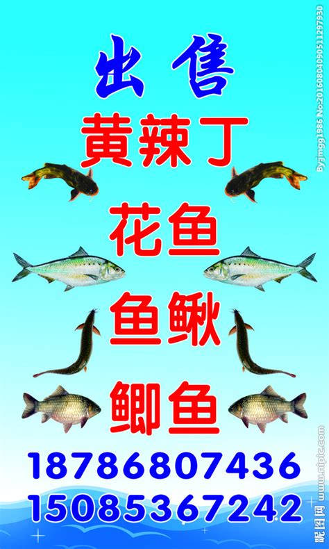 鱼招牌设计图__生活用品_生活百科_设计图库_昵图网nipic.com