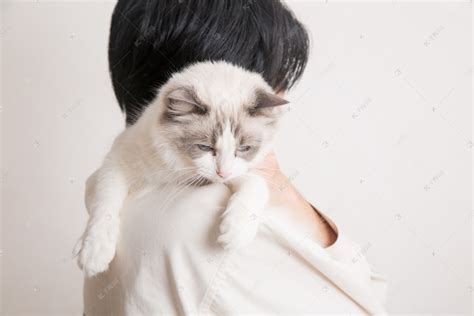 美女抱猫唯美带着气质的头像图片_头像_囧丫丫表情网