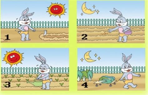 一年级看图写话练习：小兔子种地 -三巧学习