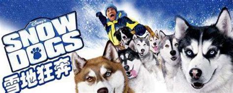 第3集剧情解说：哈士奇雪橇犬真实故事改编电影【多哥】_高清1080P在线观看平台_腾讯视频