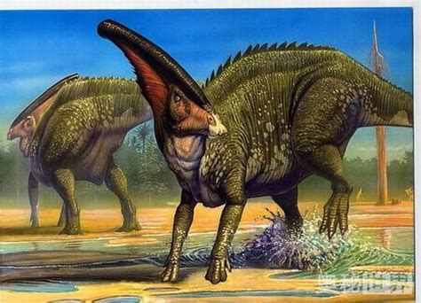 乌尔禾龙_恐龙种类_恐龙品种分类l型名称大全恐龙品类图片大全名字