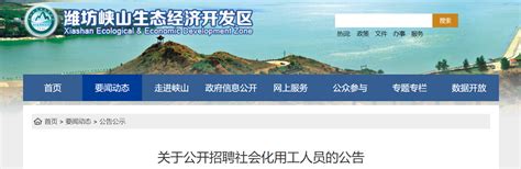 2021山东省潍坊峡山生态经济开发区招聘社会化用工人员公告