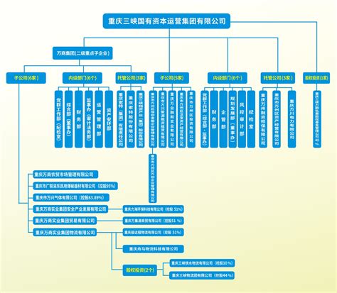 组织架构-重庆三峡国有资本运营集团有限公司