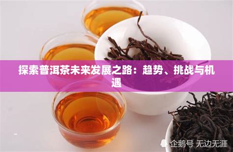 《中国普洱茶产业发展报告（2019-2020）》文化蓝皮书发布_科教_云南频道_云南网