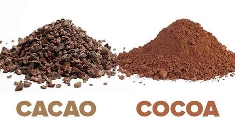 选购可可粉时，Cacao和Cocoa的区别？ - 知乎