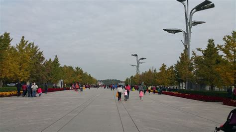 厉害了！北京明年将新添一个城市公园~面积有6.5个奥森那么大！|示范区|景观|景区_新浪新闻